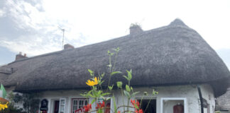 ダブリンでのお引越し