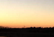 驚異のスマホ普及率のデンマーク、その理由は・・・