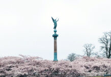 やり直しはいつでも可能・デンマークの教育制度