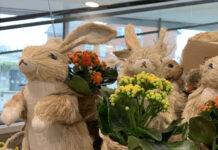 旅行シーズン到来・現在のアイルランドの出入国事情はこんな感じ