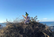 いかがです? ちょっと違う日本とデンマーク