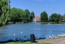 ワーホリ中にデンマークで病気になっても、ひとまず安心なわけ、とは?