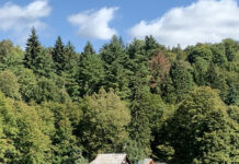 仕事も豊富で今がチャンス! アイルランドにワーキングホリデーが戻ってきた!