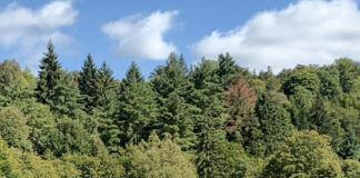 仕事も豊富で今がチャンス! アイルランドにワーキングホリデーが戻ってきた!