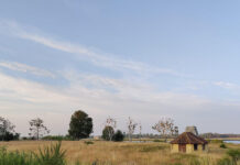 牡蠣や地ビールで楽しむデンマークの旅