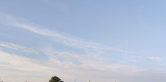 牡蠣や地ビールで楽しむデンマークの旅