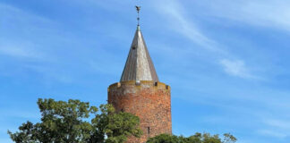 2021年から変わった、デンマークの郵便事情