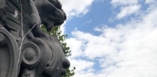 EbayもAmazonもない!そんなアイルランドの通販事情