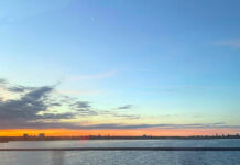 ワーキングホリデーを充実させるには、デンマーク語の習得が鍵! そして広がる可能性