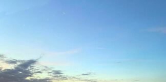 ワーキングホリデーを充実させるには、デンマーク語の習得が鍵! そして広がる可能性