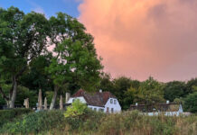 withコロナで、以前と変わらない生活を送っているデンマーク