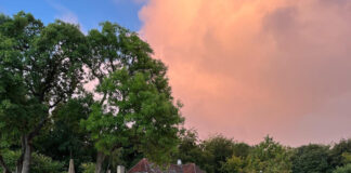 withコロナで、以前と変わらない生活を送っているデンマーク