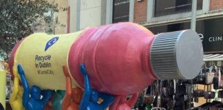 毎日がチャレンジで経験値アップ・アイルランドで始めるワーキングホリデー