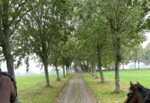 電気代や燃料代が高騰して今年は厳しい冬かも