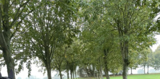 電気代や燃料代が高騰して今年は厳しい冬かも