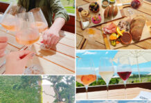 そうだ 、 ドメイン・シャンドン(ワイナリー)へ 行こう!