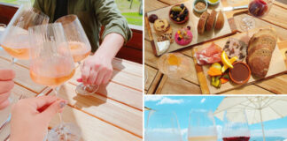 そうだ 、 ドメイン・シャンドン(ワイナリー)へ 行こう!