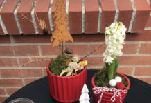 クリスマスの準備をはじめましょう