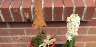 クリスマスの準備をはじめましょう