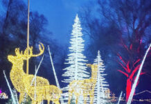 クリスマス直前の最後の準備!