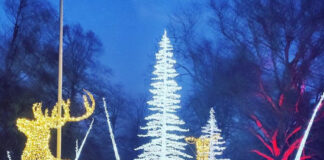 クリスマス直前の最後の準備!