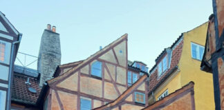 2022年のデンマークを振り返って