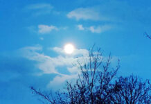 チャレンジしてみる? 素っ裸で入る、デンマークの「冬の風呂」