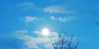 チャレンジしてみる? 素っ裸で入る、デンマークの「冬の風呂」