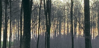 日本とはこんなに違う、デンマークの学校のシステム