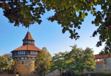 日本人とドイツ人は本当に似ているのか?