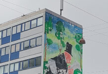 デンマークの医療事情と、高額な歯科治療費をタダにする意外な方法とは?