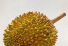 慣れると至福の味!?果物の王様ドリアン