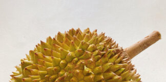 慣れると至福の味!?果物の王様ドリアン