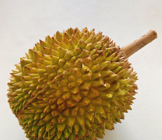 慣れると至福の味!?果物の王様ドリアン