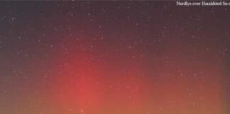 私が感じた、デンマークの素敵なところ